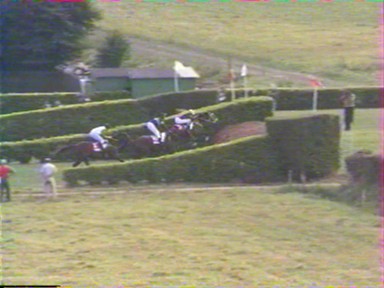 Archy-Bald arrive devant le fence - image France 3