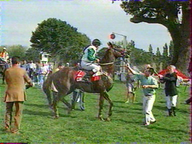 Archy-Bald et son jockey sont arros de champagne - image France 3