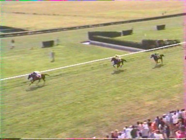 Archy-Bald se dtache irrsistiblement - image France 3